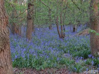 Oops photo: 05994 is missing - please let us know