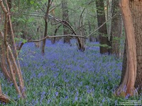 Oops photo: 05995 is missing - please let us know