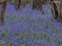 Oops photo: 05997 is missing - please let us know