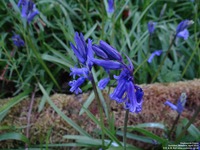 Oops photo: 05999 is missing - please let us know