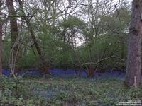 Oops photo: 06001 is missing - please let us know