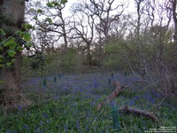 Oops photo: 06005 is missing - please let us know