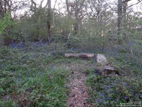 Oops photo: 06006 is missing - please let us know