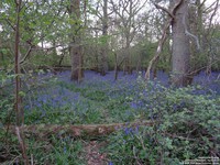 Oops photo: 06007 is missing - please let us know
