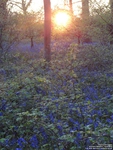 Oops photo: 06013 is missing - please let us know
