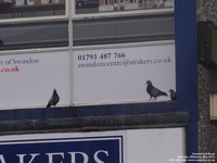 Oops photo: 06166 is missing - please let us know