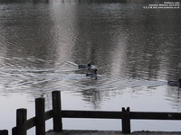 Oops photo: 06344 is missing - please let us know