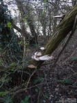 Oops photo: 06345 is missing - please let us know
