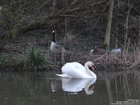 Oops photo: 06350 is missing - please let us know