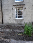 Oops photo: 06392 is missing - please let us know