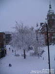 Oops photo: 06453 is missing - please let us know