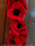 Oops photo: 06484 is missing - please let us know