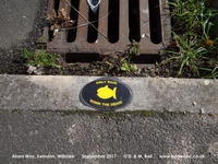 Oops photo: 06513 is missing - please let us know