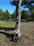 Oops photo: 06736 is missing - please let us know
