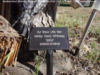 Oops photo: 06737 is missing - please let us know