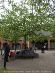 Oops photo: 06801 is missing - please let us know