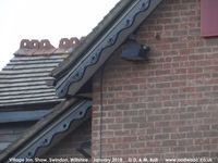 Oops photo: 06820 is missing - please let us know