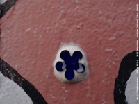 Oops photo: 06923 is missing - please let us know