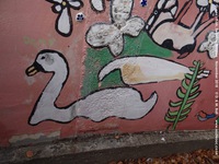 Oops photo: 06931 is missing - please let us know