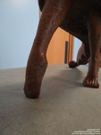 Oops photo: 07077 is missing - please let us know