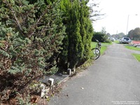 Oops photo: 07101 is missing - please let us know