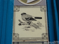 Oops photo: 08148 is missing - please let us know