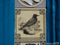 Oops photo: 08158 is missing - please let us know
