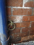 Oops photo: 08343 is missing - please let us know
