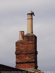 Oops photo: 08530 is missing - please let us know