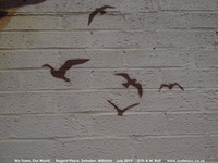 Oops photo: 08697 is missing - please let us know