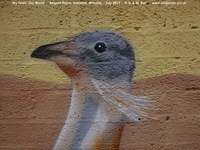 Oops photo: 08704 is missing - please let us know