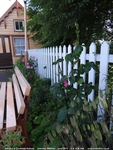 Oops photo: 08769 is missing - please let us know