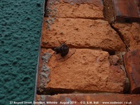 Oops photo: 09064 is missing - please let us know