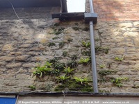 Oops photo: 09071 is missing - please let us know