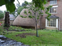 Oops photo: 09228 is missing - please let us know