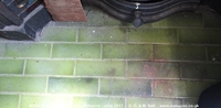 Oops photo: 09518 is missing - please let us know