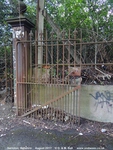 Oops photo: 09773 is missing - please let us know