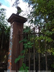 Oops photo: 09778 is missing - please let us know