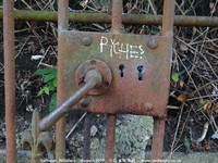 Oops photo: 09784 is missing - please let us know