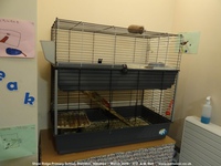 Oops photo: 09836 is missing - please let us know