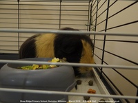Oops photo: 09842 is missing - please let us know