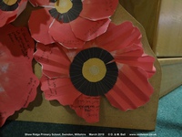 Oops photo: 09917 is missing - please let us know