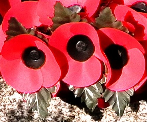 Picture of Poppy